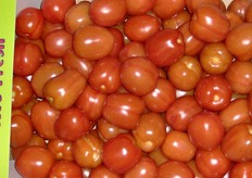 Dettaglio dei pomodori.