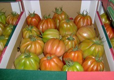 Pomodori cuore di bue.