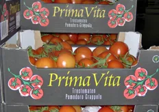 "Pomodoro a grappolo olandese. Si noti il marchio "Prima Vita": i nomi che suonano italiani vengono considerati molto efficaci dal punto di vista commerciale."