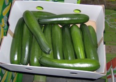 Zucchine verdi. Si ringrazia per le fotografie Stefano Pezzo di Greenery Italia.