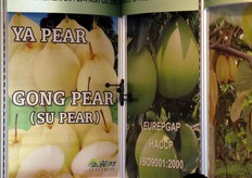 Dettaglio stand SHENZHEN ANXINBAO TECHNOLOGY DEVELOPMENT Co. Ltd