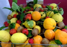 Composizione di frutta