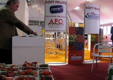 Area dedicata ai brand del settore Soft Fruit (fragole e piccoli frutti), che partecipano al progetto Macfrut International.
