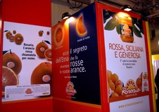 Stand PANNITTERI & C. s.a.s.