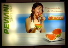 Solinda è la mini anguria senza semi, commercializzata in Italia dal Gruppo Peviani.