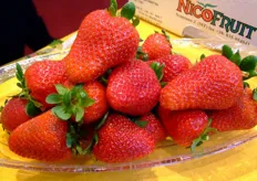 Gustosissime fragole a marchio Nicofruit, offerte presso lo stand O.P. ASSOFRUIT.