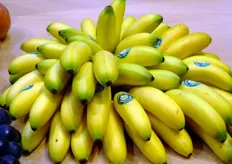 Tra i prodotti esotici di importazione, in vetrina presso lo stand Spreafico, troviamo anche questo casco di mini banane.