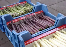 Una visione d'insieme delle tre varietà di asparagi, verdi, violetti e bianchi.