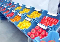 Le varieta' di pomodori sono disposti in maniera impeccabile.