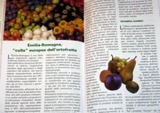 Un dettaglio della guida enogastronomica dedicata all'Emilia-Romagna. Qui vediamo la sezione dedicata all'ortofrutta.