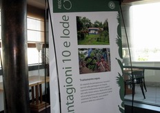 "Regola cinque per una "Piantagione 10 e lode": Trattamento equo."