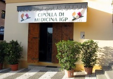 "Ogni secondo fine settimana di luglio viene organizzata a Medicina (BO) la Fiera della Cipolla "Medicipolla". L'edizione di quest'anno (11-13 luglio 2008) e' stata segnata dall'inaugurazione della sede del Consorzio della Cipolla di Medicina IGP."