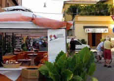 Nella piazza centrale di Medicina e' stato anche allestito uno stand a cura del Consorzio.