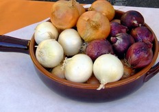 "Il riconoscimento "Cipolla di Medicina IGP" a livello transitorio nazionale, e' stato attuato dal Ministero delle Politiche Agricole Ambientali e Forestali ad ottobre 2007, con inizio commercializzazione in luglio-agosto 2008"