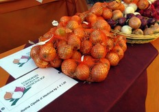 Cipolle di Medicina in retina.