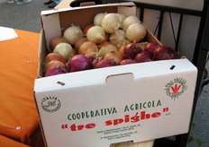 Il Consorzio IGP controlla circa il 70% della produzione totale e riunisce 144 soci, rappesentati dalle Cooperative Apo Conerpo, Cometa e Tre Spighe.