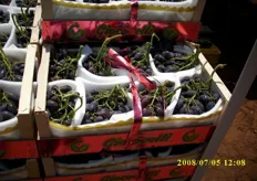 Le cassette contengono circa 7 - 7,5 kg di uva.