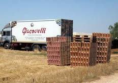 "La presenza di un camion con cella frigorifera e' di fondamentale importanza per preservare il prodotto immediatamente dopo la fase della raccolta. "Si pensi che quest'anno - sottolinea Antonio Bernardi - le temperature in campo durante le operazioni di raccolta hanno sfiorato i 40 gradi!"