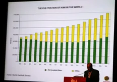 Lo sviluppo, dagli anni '90 al 2006, delle superfici coltivate a kiwi. In verde, tutti i paesi esclusa la Cina; in giallo, la Cina.