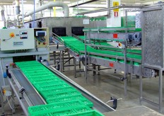 Poi vengono ribaltate e inviate al processo di lavaggio.