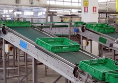 Nastro trasportatore.