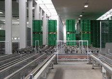 Una vasta area del magazzino accoglie le cassette via via che sono pronte per essere nuovamente reimmesse nel circuito logistico.