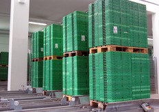 Pallets di cassette CPR.