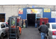 Stand dei grossisti.