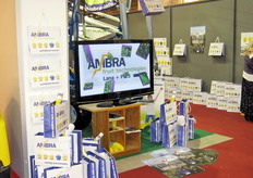 Stand Ambra.