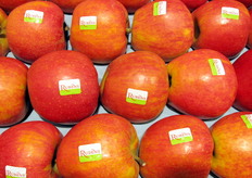 Dettaglio mele di varieta' Rubens.