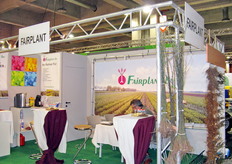 Stand Fairplant.