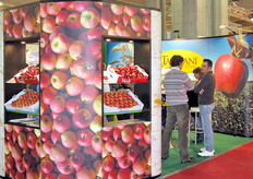 Stand Tagliani Vivai.