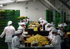 Stazione di confezionamento.