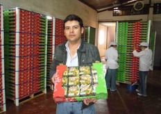 Cestini in cassetta.