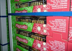 Pallets di Physalis Peruviana.