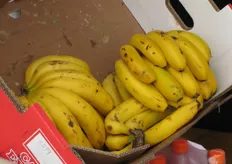 Tipiche banane di piccolo calibro, coltivate in questa regione.