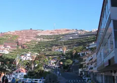 Tipici di Madeira sono i pendii scoscesi, talvolta posti quasi verticalmente a ridosso del mare. Il terrazzamento di questi pendii permette un effettivo utilizzo del terreno.