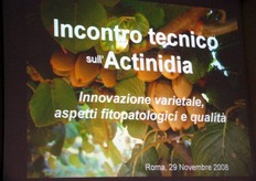 Lo scorso 29 novembre si e' tenuto un incontro tecnico sull'Actinidia (Innovazione varietale, aspetti fitopatologici e qualita') presso la sede di Roma del Centro di Ricerca per la Frutticoltura. Nell'occasione e' stata allestita una Mostra Pomologica sulle diverse varieta' di kiwi.