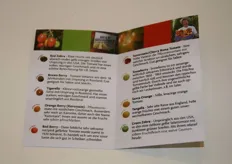 Brochure che indica quali pomodorini selvatici sono commestibili.