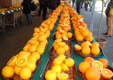 Panoramica delle varieta' di arance bionde esposte.