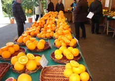 Panoramica delle varieta' di arance esposte.