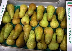 Qui di seguito, alcune foto della sala lavorazioni del gruppo PerA, presso la ditta Ortofrutticola Cesenate di Sarpieri Luigi e Figli. Qui arriva tutta la produzione dalla campagna delle pere abate del gruppo. Le lavorazioni vengono fatte a mano, per spedizioni in tutta Europa.