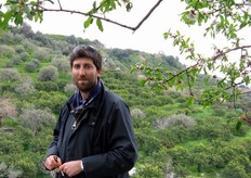 Attilio Interdonato e' direttamente impegnato nella titanica opera di recupero di molti ettari di limoneti, fino a qualche anno fa lasciati in stato di abbandono. Qui lo vediamo all'interno di uno dei suoi possedimenti.