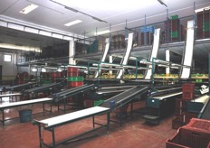 L'immagine mostra bene la collocazione dei soppalchi, utilizzati per la movimentazione e lo smistamento dei vuoti.