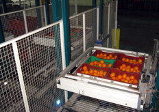 Pallettizer all'opera.