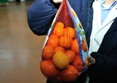 Retina con mix di agrumi: arance Tarocco, mandarini e limoni.