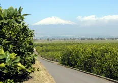 Il vulcano Etna domina queste terre.