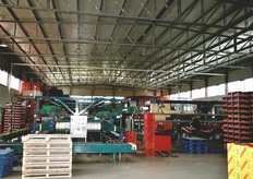 FreshPlaza Italia si e' recata in visita presso il magazzino dell'azienda, esteso su una superficie di 2.000 metri quadrati e inaugurato circa 4 anni fa.