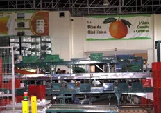 Qui si confezionano le pregiate arance bionde di varieta' Washington Navel e Brasiliano. Presso il magazzino della Biofruit se ne lavorano ogni anno circa 2.000 tonnellate, di cui 1.500 commercializzabili. Il prodotto viene conferito al 100 per cento dalla Organizzazione di Produttori OP Makeda.