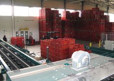 Lo stabilimento, molto razionale nella disposizione degli spazi, e' dotato di una linea con calibratrice a quattro vie.